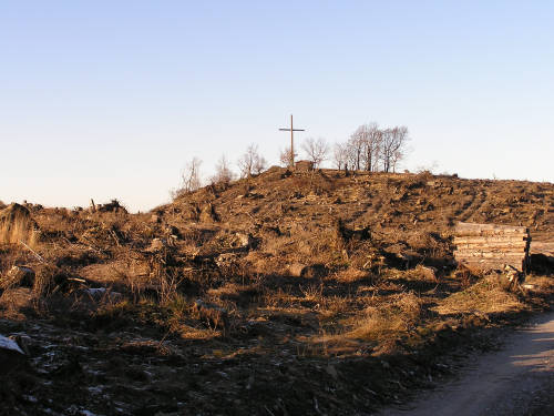 Die letzten Meter zum Gipfel Olsberg. Es war etwa 15:00 Uhr.